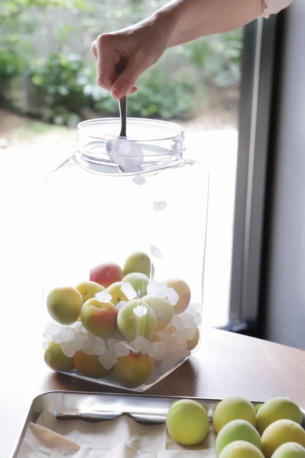 Amazon.co.jp: 2026 Model Takeya Fruit Sake Bottle, S Type, 1.2 gal